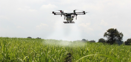 Pulverização com drones avança nos canaviais
