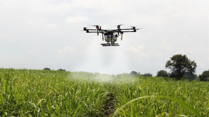 Pulverização com drones avança nos canaviais