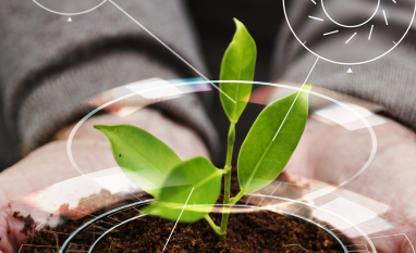 Conversão de biomas para agropecuária retirou 1,4 bilhão de toneladas de carbono do solo