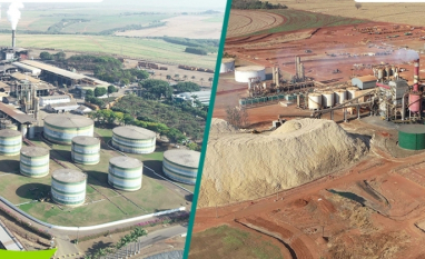 Colombo Agroindústria abre 700 vagas para área agrícola e inicia contratações para a próxima safra