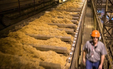 Produção global de açúcar alcança pico em 2025/26, mas recua em 2026/27