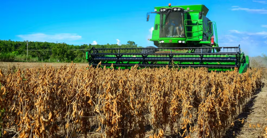 No ano do tarifaço de Trump, pedidos de falência de agricultores crescem quase 50% em 2025 nos EUA — Foto: Willam Roth/Secom-RR