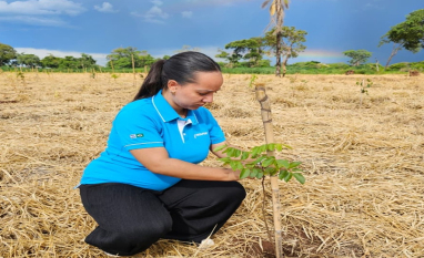 Compromisso ambiental: Ribeirão Preto recebe de mais de 1.200 árvores nativas