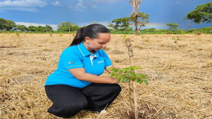 Compromisso ambiental: Ribeirão Preto recebe de mais de 1.200 árvores nativas