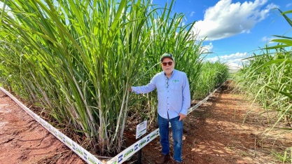 Landell propõe nova estratégia para elevar TCH e etanol por ha