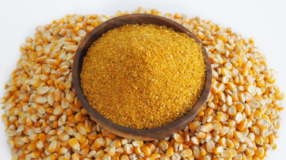 DDGs: o que são, como são produzidos e por que ganharam destaque