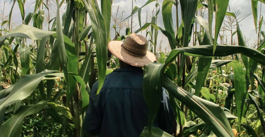 Foto: do site do Ministério do Trabalho e Emprego 