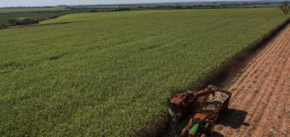 Safra 2025/26 soma 601 milhões de toneladas no Centro Sul