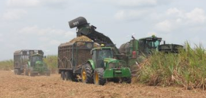 Usinas da Paraíba investem em selo internacional que comprova produção sustentável de cana-de-açúcar