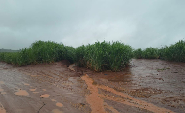 Chuvas intensas elevam risco de erosão do solo e exigem manejo mais rigoroso no campo