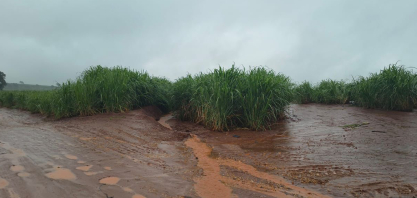 Chuvas intensas elevam risco de erosão do solo e exigem manejo mais rigoroso no campo