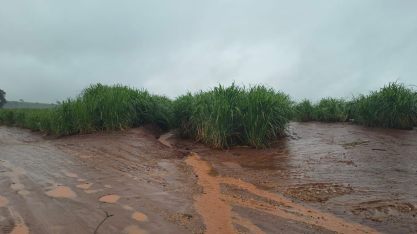 Chuvas intensas elevam risco de erosão do solo e exigem manejo mais rigoroso no campo