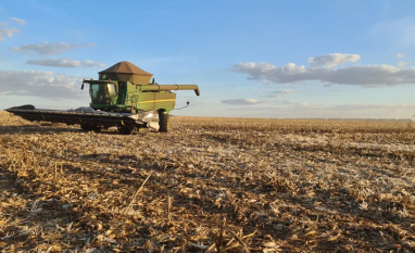 Etanol de milho deve atingir 10 bilhões de litros no Brasil