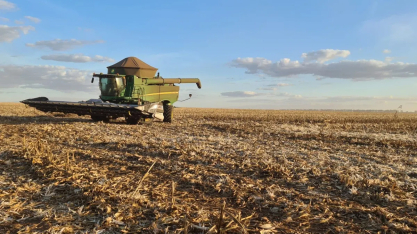 Etanol de milho deve atingir 10 bilhões de litros no Brasil