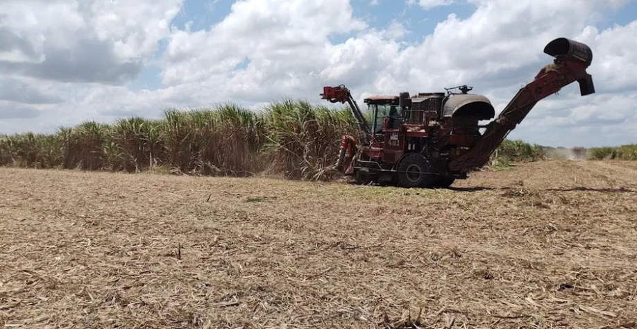 Fim do tarifaço só deve beneficiar açúcar de Alagoas na próxima safra - Foto: Edivaldo Júnior