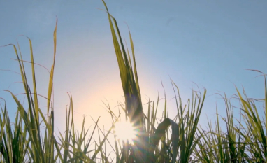 Índia amplia etanol automotivo com Brasil no radar estratégico