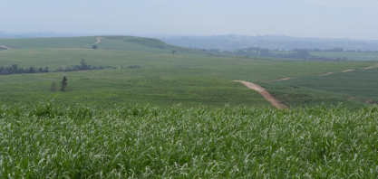 STJ suspende liminares e fortalece cumprimento das metas do RenovaBio