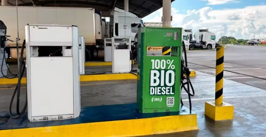 Foto: Biopower / Divulgação