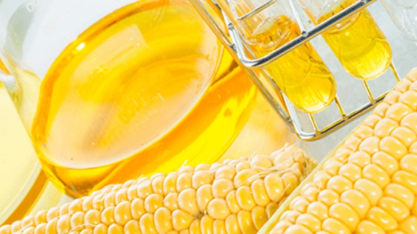 Expansão acelerada do etanol de milho exige planejamento para ampliar consumo