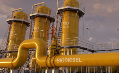 Importação de biodiesel seria mais viável se houvesse problemas com insumos, indica analista