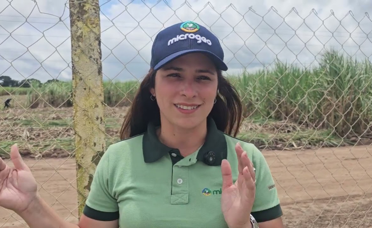 Microgeo atua no sentido de melhorar a estruturação do solo na Usina Caeté