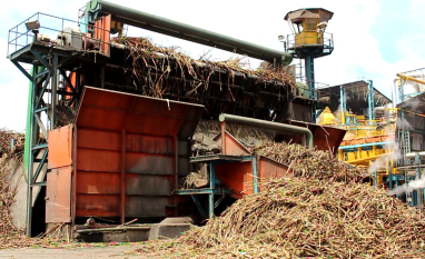 AL: safra 2025/2026 encerra janeiro com 14,3 milhões de toneladas processadas