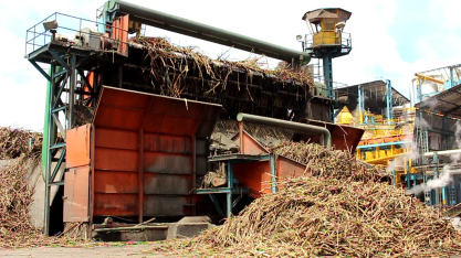 AL: safra 2025/2026 encerra janeiro com 14,3 milhões de toneladas processadas