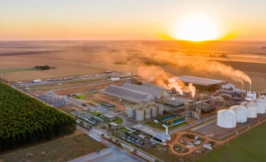 FS embarcará carga de DDG para a China nos próximos dias