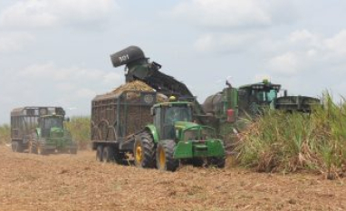 Acordo UE–Mercosul traz benefícios para o setor sucroenergético da PB