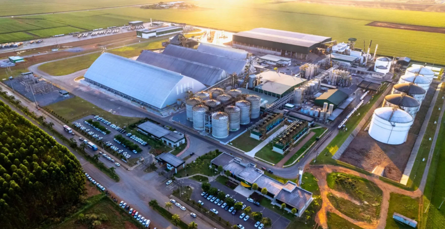 Foto: FS Bioenergia/Divulgação