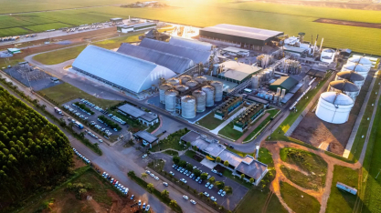 Milho “barato” vira energia milionária e revoluciona a bioindústria brasileira