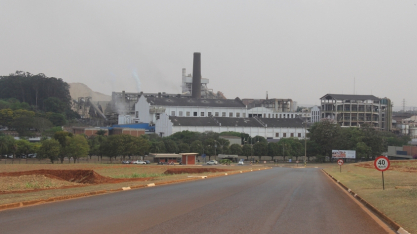 São Martinho tem lucro líquido de R$ 424,1 milhões no 3º Tri da safra 2025/26, alta de 168,5%