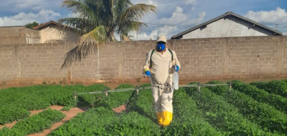 Megacana Tech Show abre ciclo 2026 com 1º Meeting focado em Cana e Amendoim