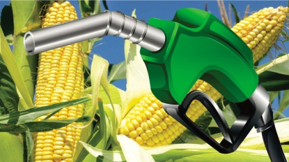 Brasil deve ampliar produção de etanol em 2026 com alta da cana e avanço das usinas de milho