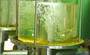 Toyota terá centro de pesquisa em biocombustíveis no Brasil