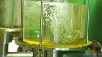 Toyota terá centro de pesquisa em biocombustíveis no Brasil