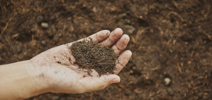 IAC reúne 165 laboratórios em análise de solos