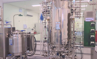 O setor bioenergético ganha um novo aliado no combate aos nematoides