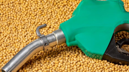 Mistura de 16% de biodiesel no diesel pode demandar 3 milhões de toneladas de soja