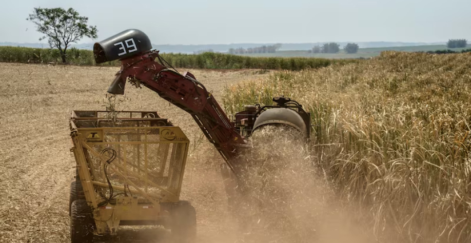 BrasilAgro sente efeito da cana, mas vê recuperação à frente com grãos e gado, diz CFO |Executivos da companhia veem impacto da cana como 'já esperado' para o trimestre enquanto traça estratégia para os próximos. (Foto: Paulo Fridman /Bloomberg News)(Paul