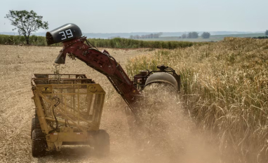 BrasilAgro sente efeito da cana, mas vê recuperação com grãos e gado, diz CFO
