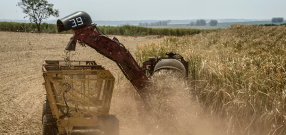 BrasilAgro sente efeito da cana, mas vê recuperação com grãos e gado, diz CFO