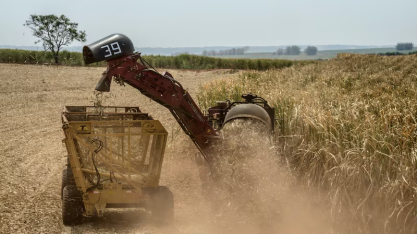 BrasilAgro sente efeito da cana, mas vê recuperação com grãos e gado, diz CFO