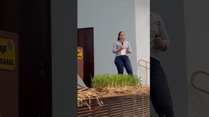 Grupo Pedra amplia eficiência no controle do Sphenophorus com manejo integrado