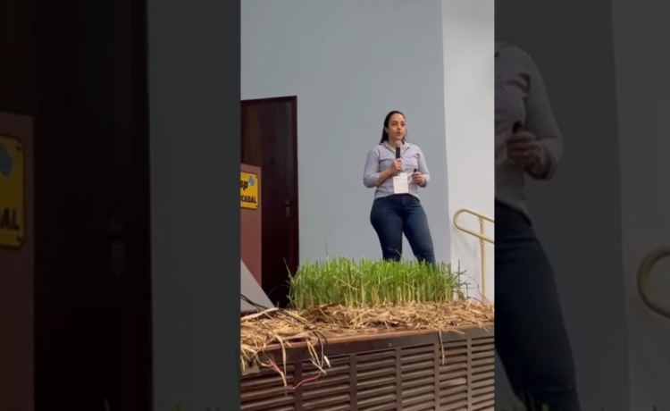 Grupo Pedra amplia eficiência no controle do Sphenophorus com manejo integrado