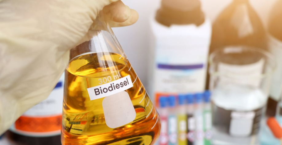 Entidades alertam que importação pode desmontar cadeia do biodiesel. Foto: Adobe Stock