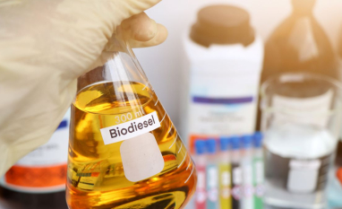 Setor do biodiesel busca apoio no governo para evitar importação