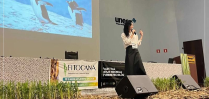 Estudos revelam novos padrões ecológicos e de dispersão do Sphenophorus levis