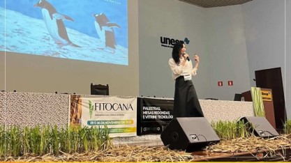 Estudos revelam novos padrões ecológicos e de dispersão do Sphenophorus levis