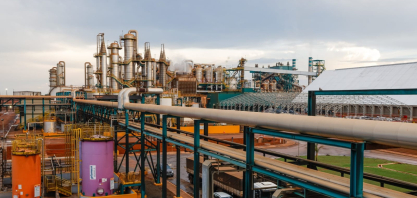 CerradinhoBio tem EBIT recorde de R$ 782,3 milhões na safra 2025/26